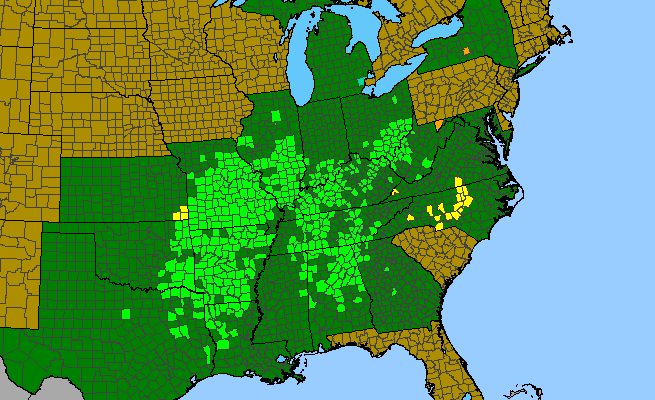 The range of Gillenia stipulata